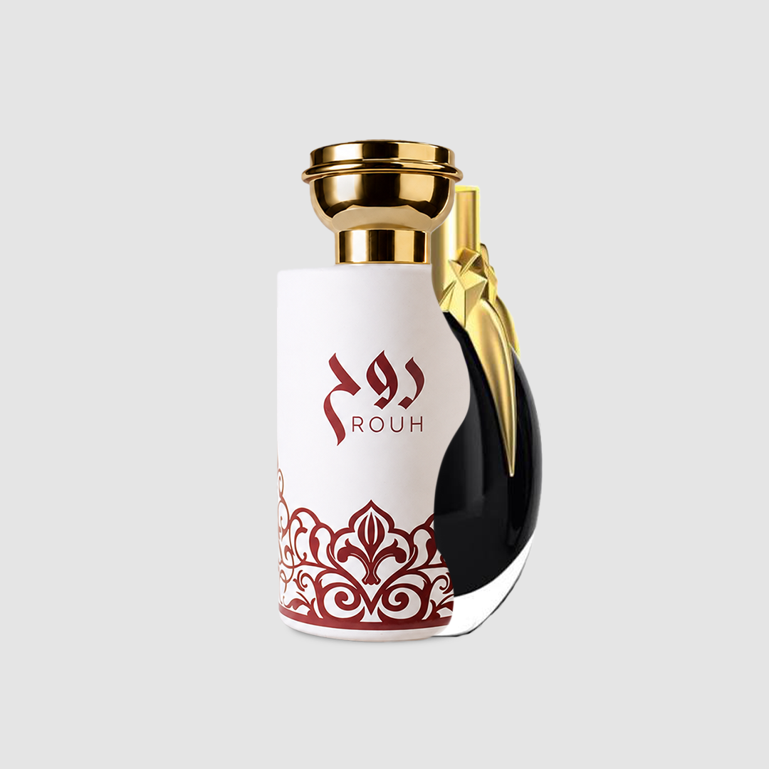Lady Gaga Fame